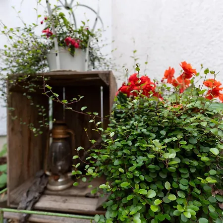 Casa de hóspedes Krone 4*